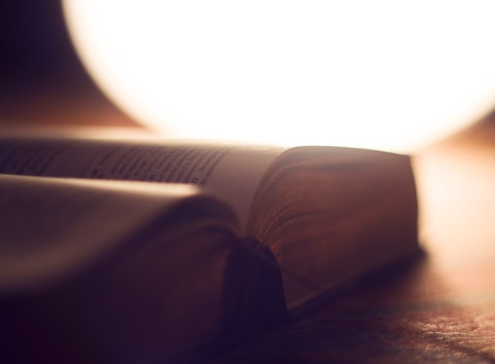 Język to most – jak globalizacja zmienia role tłumacza